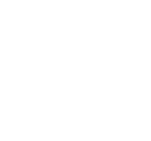 NewNeuroLOGO 500x500 wit NEG